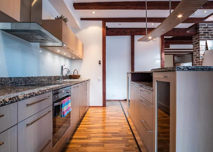 Διαμέρισμα Dream - Five Bedroom Penthouse In Old Town Ταλίν