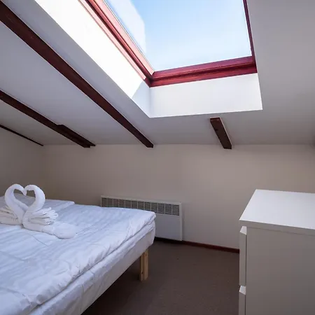 公寓 Dream - Five Bedroom Penthouse In Old Town 塔林