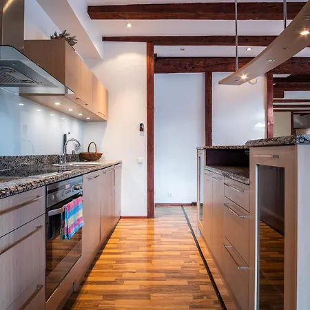 公寓 Dream - Five Bedroom Penthouse In Old Town 塔林